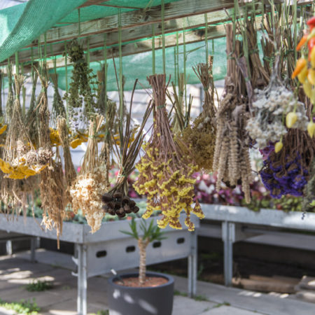 AuftragArbeit in unseren Blumenläden und Gärtnereien bieten wir Ihnen aussergewöhnliche Blumensträusse an.