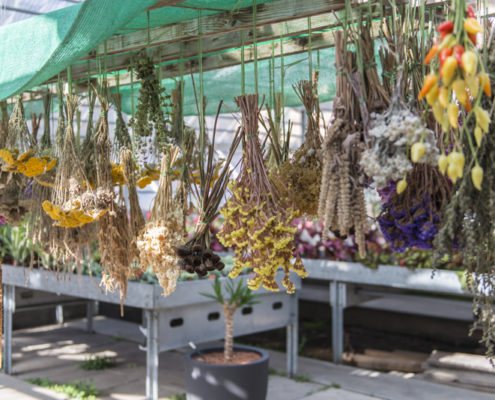 AuftragArbeit in unseren Blumenläden und Gärtnereien bieten wir Ihnen aussergewöhnliche Blumensträusse an.