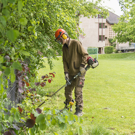 AuftragArbeit unsere Gartenhelfer pflanzen und pflegen Bäume, Sträucher und Blumenbeete.