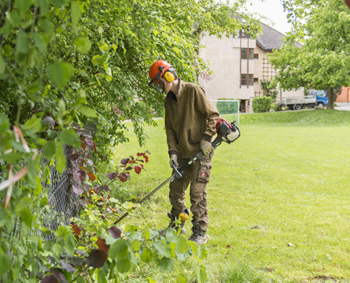 AuftragArbeit unsere Gartenhelfer pflanzen und pflegen Bäume, Sträucher und Blumenbeete.
